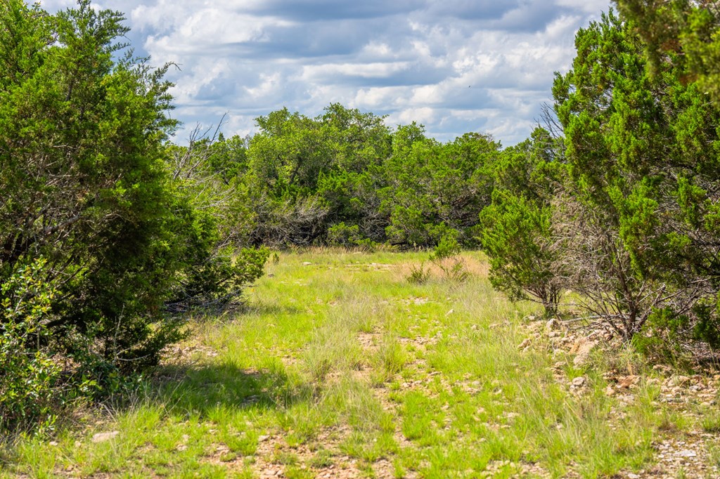 0 Jackson Ranch Rocksprings, TX 78880 - Photo 16 of 27