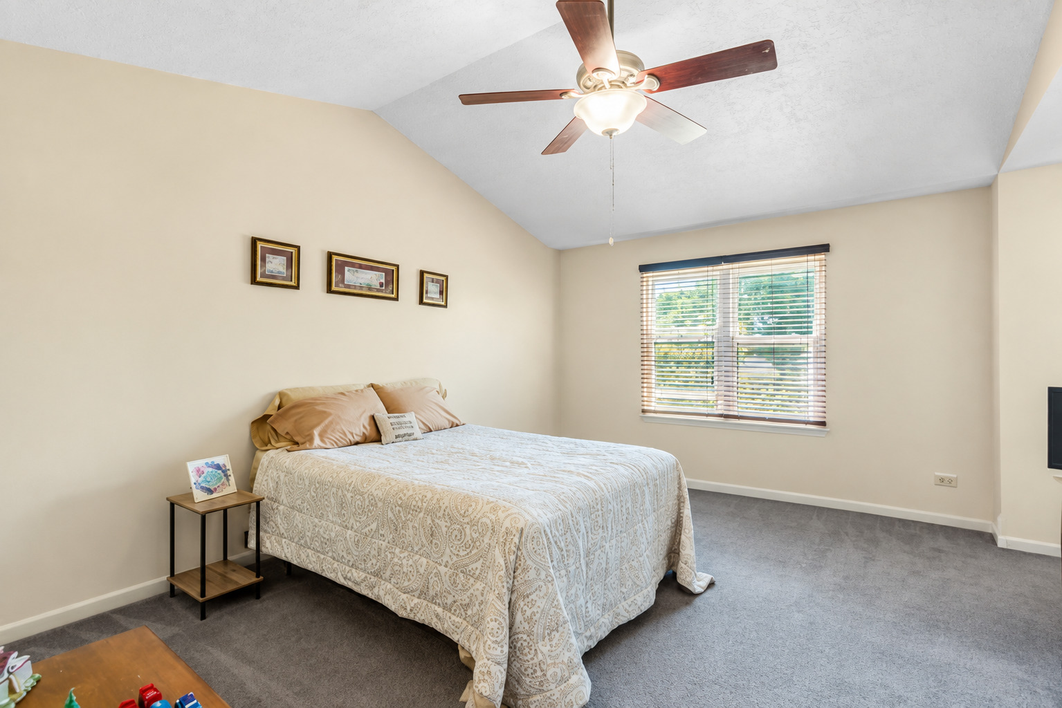 1898 McRae Lane Mundelein, IL 60060 - Photo 16 of 30 Gallery Image 16