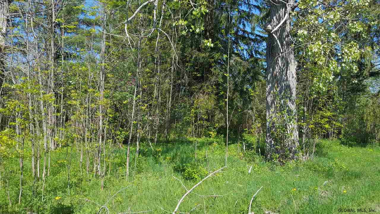 0 County Rt 10 Rensselaerville, NY 12147 - Photo 10 of 10 Photo 10