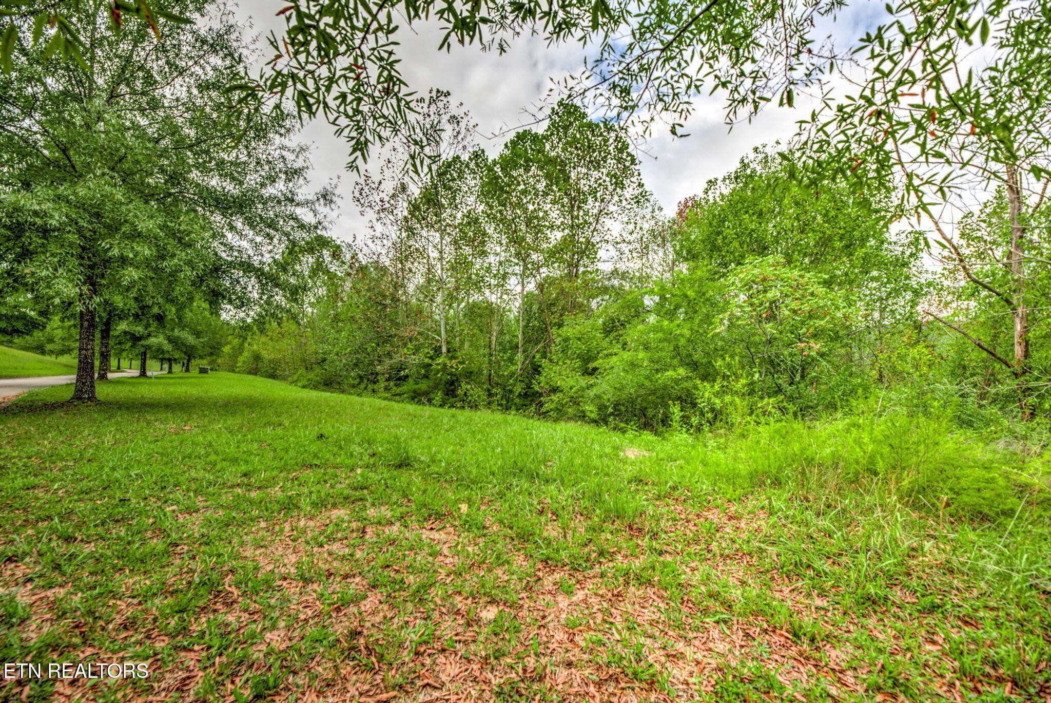 154 Pineberry East Road Oak Ridge, TN 37830 - Photo 20 of 22 Gallery Image 20