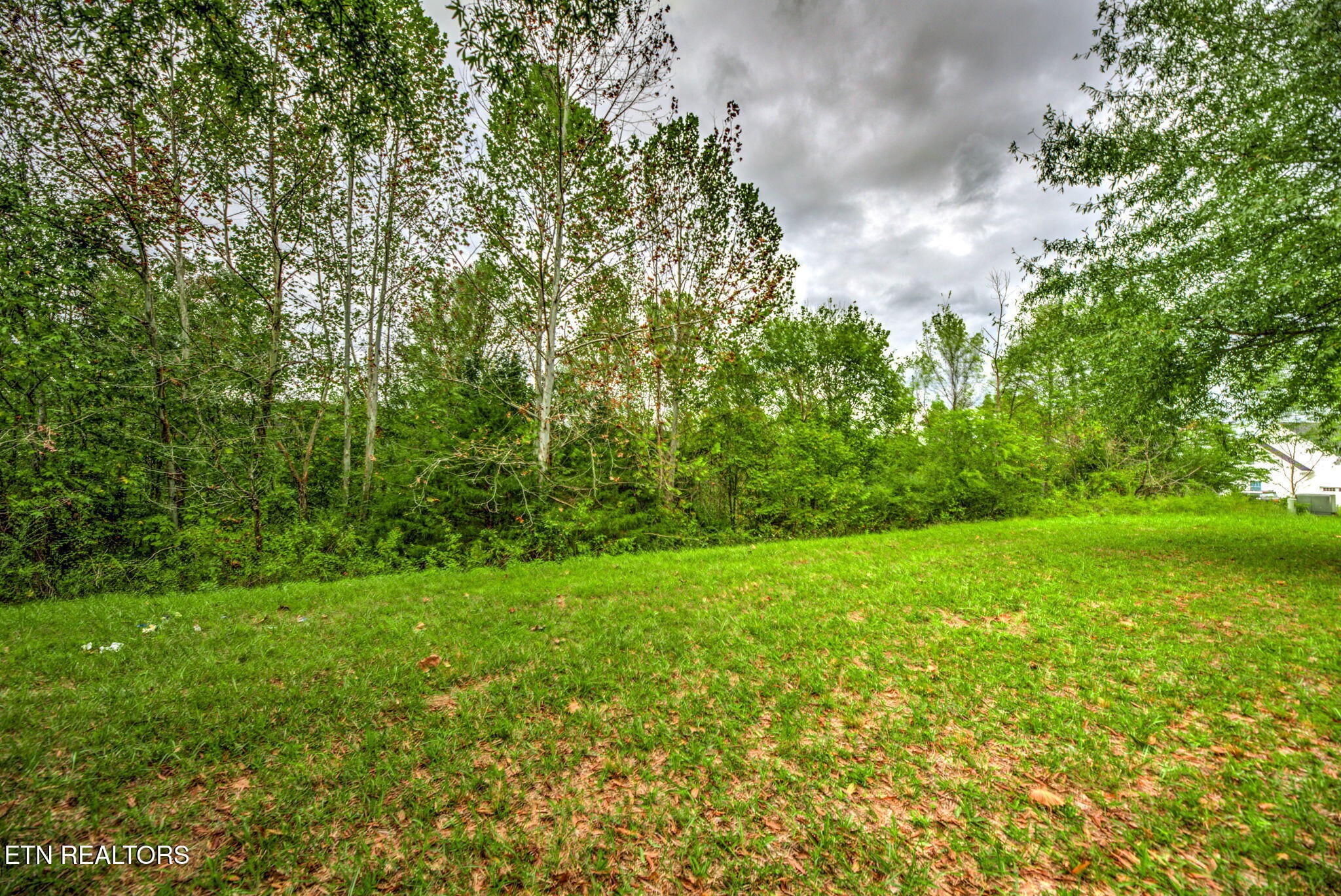 154 Pineberry East Road Oak Ridge, TN 37830 - Photo 3 of 22 Gallery Image 3