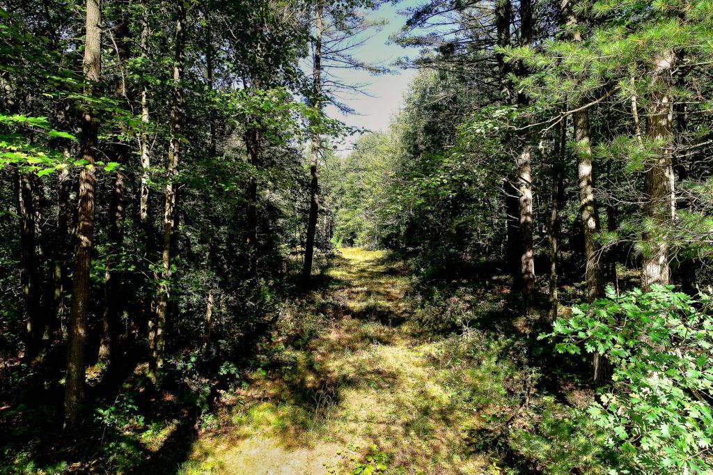 Lot 1 County Rd K Merrillan, WI 54754 - Photo 1 of 1
