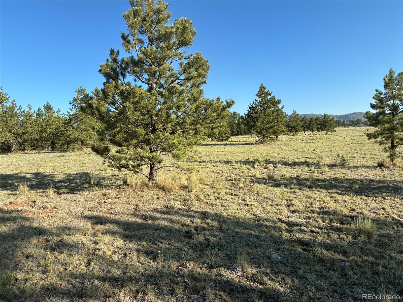 0 Doe Valley Road Guffey, CO 80820 - Photo 17 of 19 Gallery Image 17