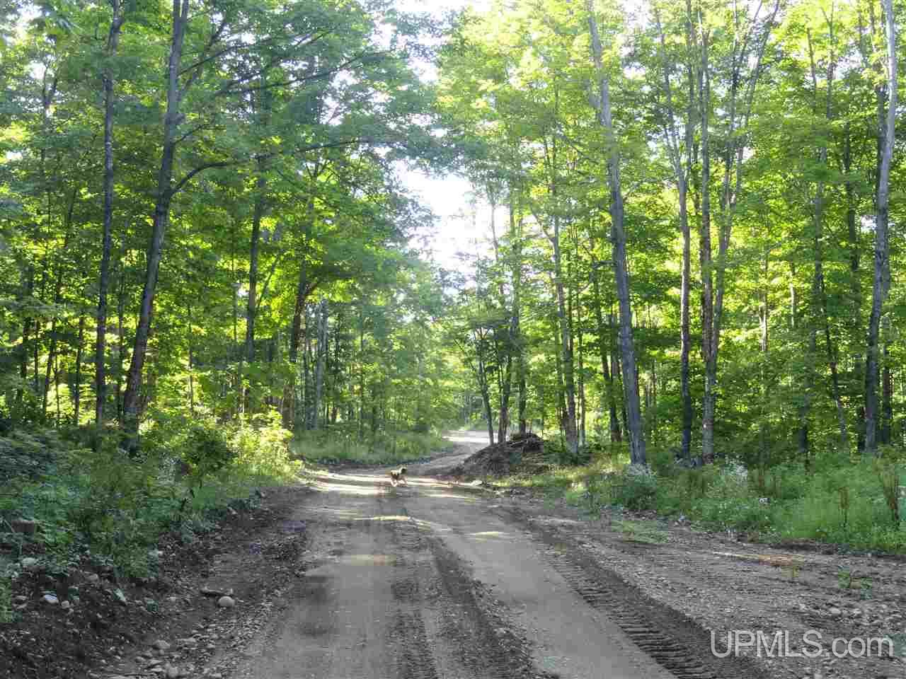 80 SOUTH Off Co Road Ishpeming, MI 49849 - Photo 1 of 20