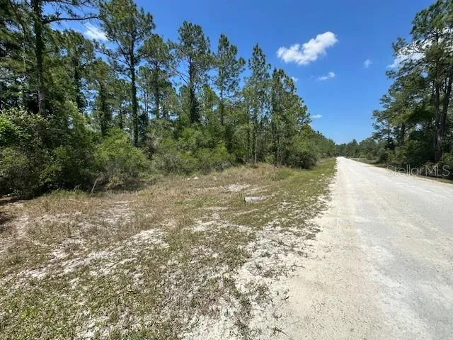 $42,000 | Tbd Otter Drive, Webster, FL 33597