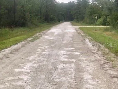 $42,000 | Tbd Otter Drive, Webster, FL 33597