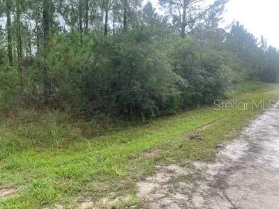 $42,000 | Tbd Otter Drive, Webster, FL 33597