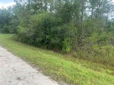 $42,000 | Tbd Otter Drive, Webster, FL 33597