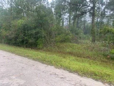 $42,000 | Tbd Otter Drive, Webster, FL 33597