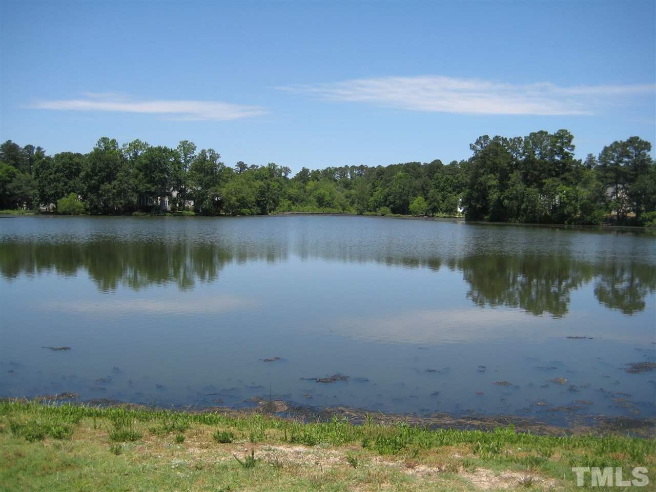 2017 Metacomet Way Raleigh, NC 27604 - Photo 15 of 15 a view of a lake