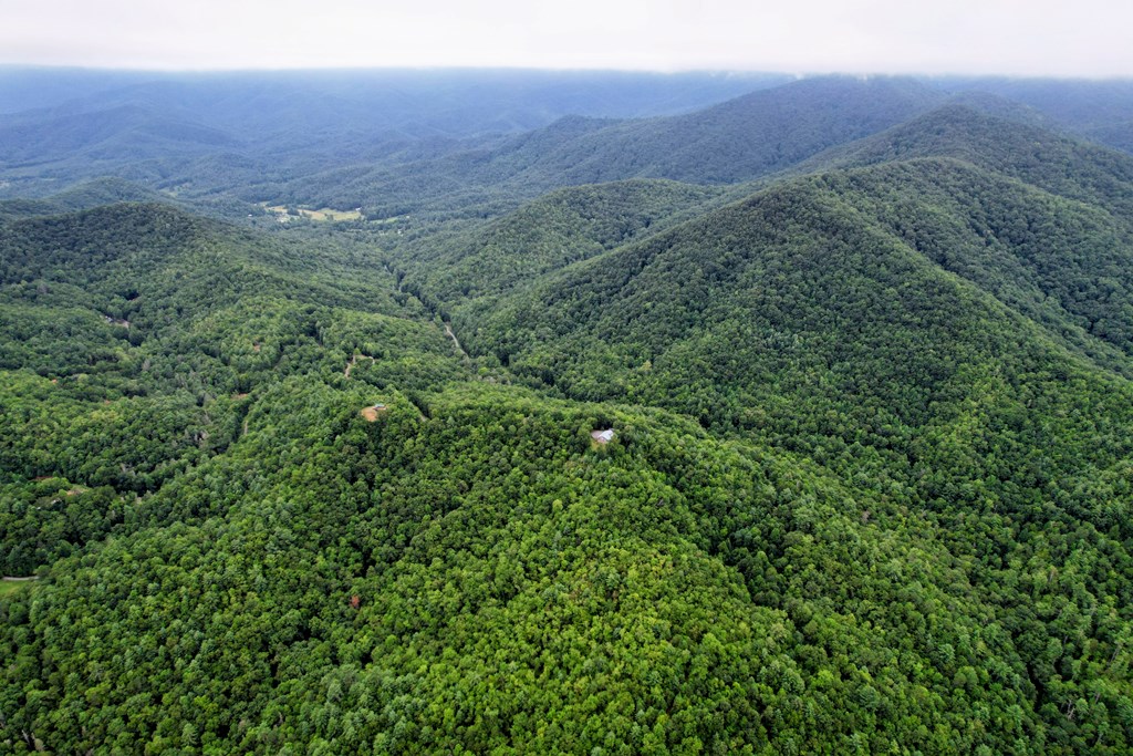 0 Flea Mountain Road Murphy, NC 28906 - Photo 33 of 54