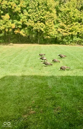 $1,125,000 | 7952 East Co Road 850 South, Cloverdale, IN 46120