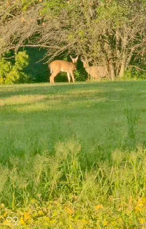 $1,125,000 | 7952 East Co Road 850 South, Cloverdale, IN 46120