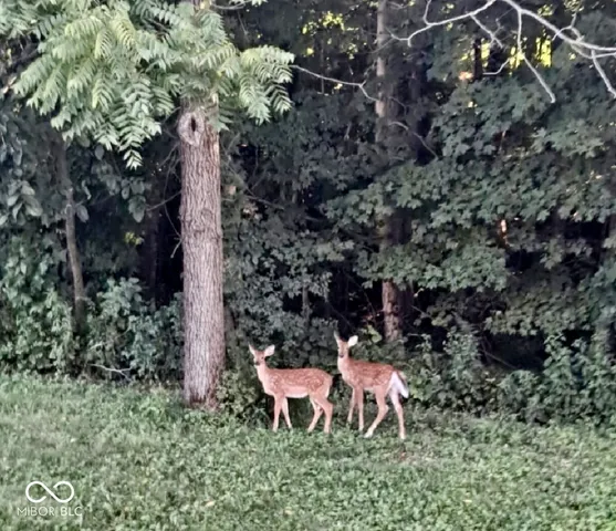 $1,125,000 | 7952 East Co Road 850 South, Cloverdale, IN 46120