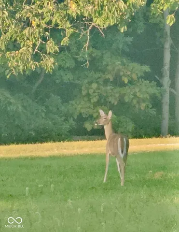 $1,125,000 | 7952 East Co Road 850 South, Cloverdale, IN 46120