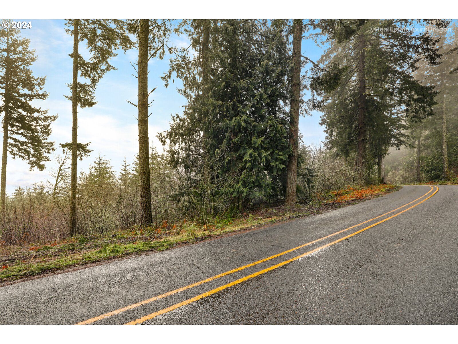 0 South Fellows Road Beavercreek, OR 97004 - Photo 1 of 26 Gallery Image 1