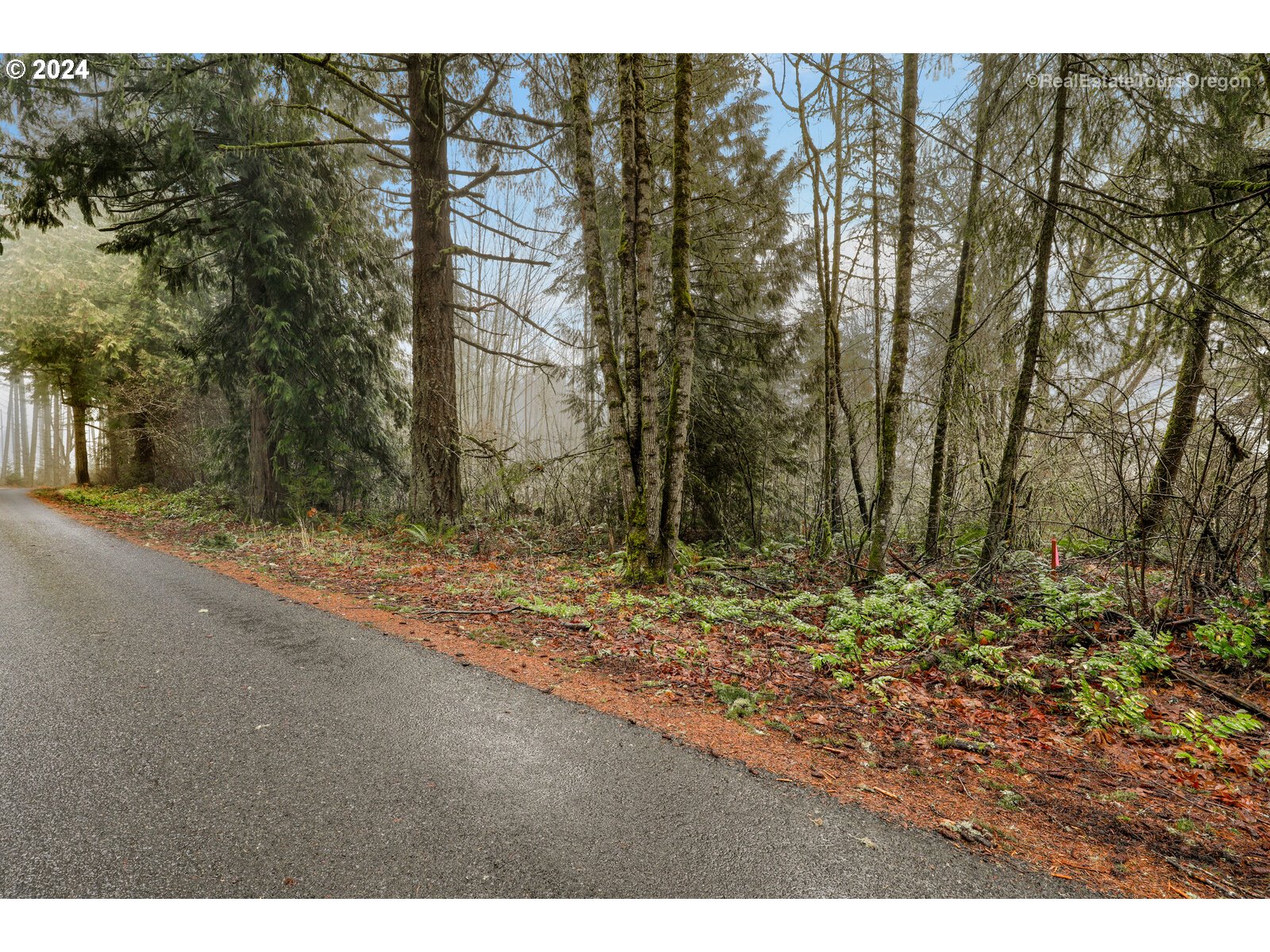 0 South Fellows Road Beavercreek, OR 97004 - Photo 14 of 26 Gallery Image 14
