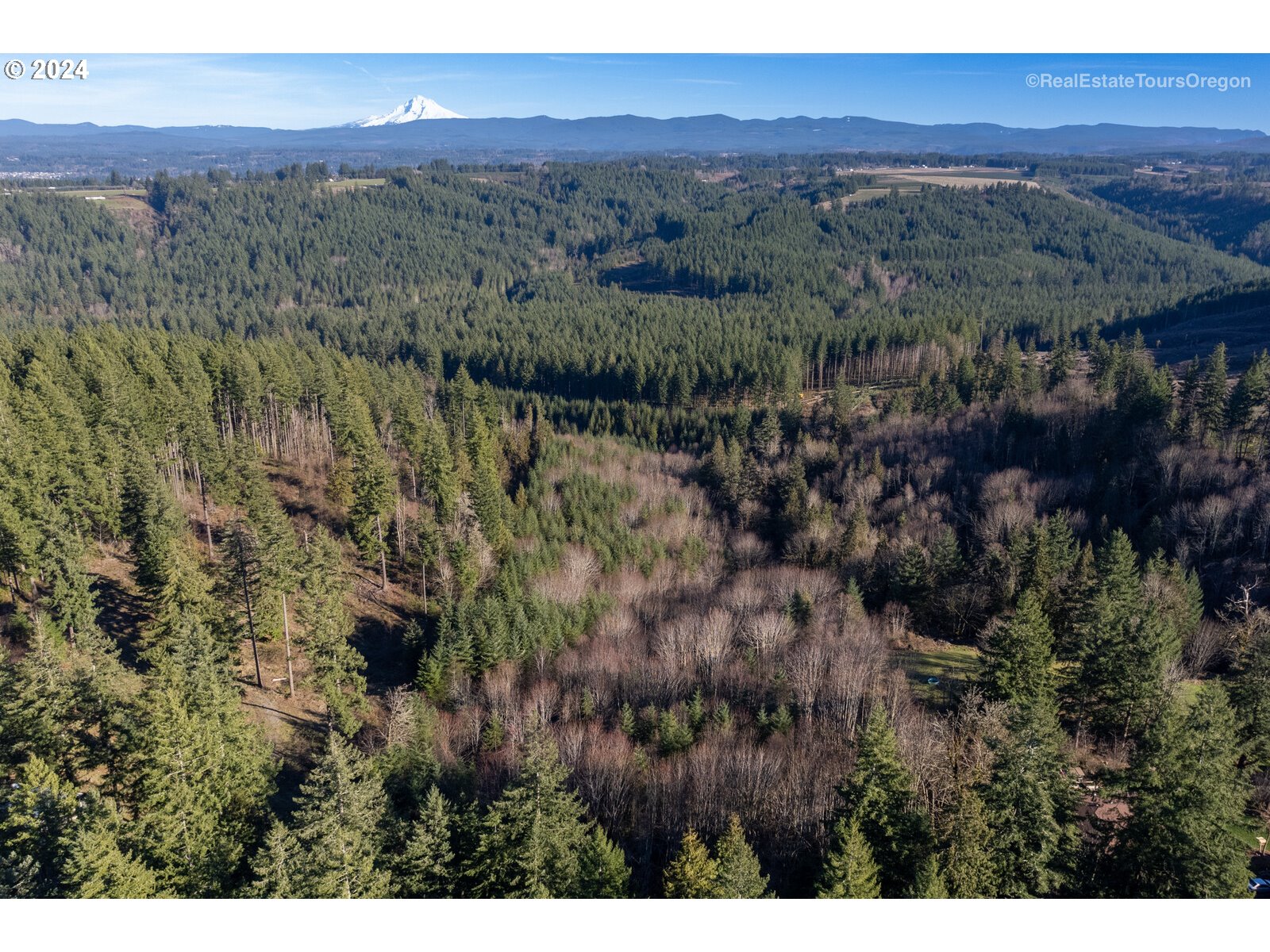 0 South Fellows Road Beavercreek, OR 97004 - Photo 15 of 26 Gallery Image 15