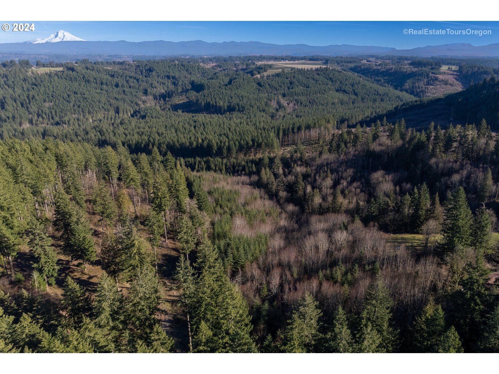 0 South Fellows Road Beavercreek, OR 97004 - Photo 16 of 26 Gallery Image 16