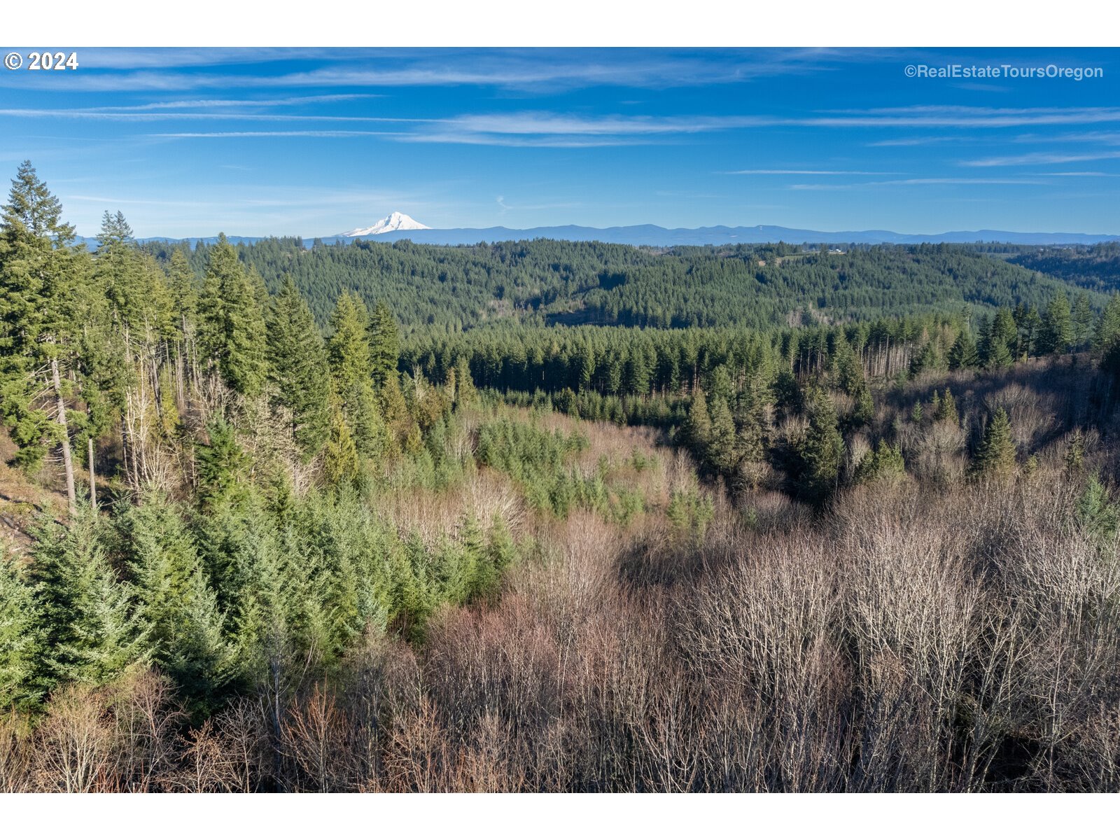 0 South Fellows Road Beavercreek, OR 97004 - Photo 18 of 26 Gallery Image 18