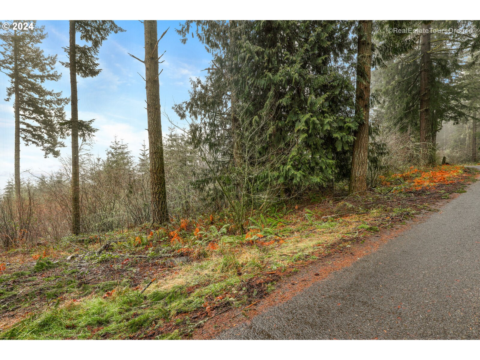 0 South Fellows Road Beavercreek, OR 97004 - Photo 2 of 26 Approximate Property Lines