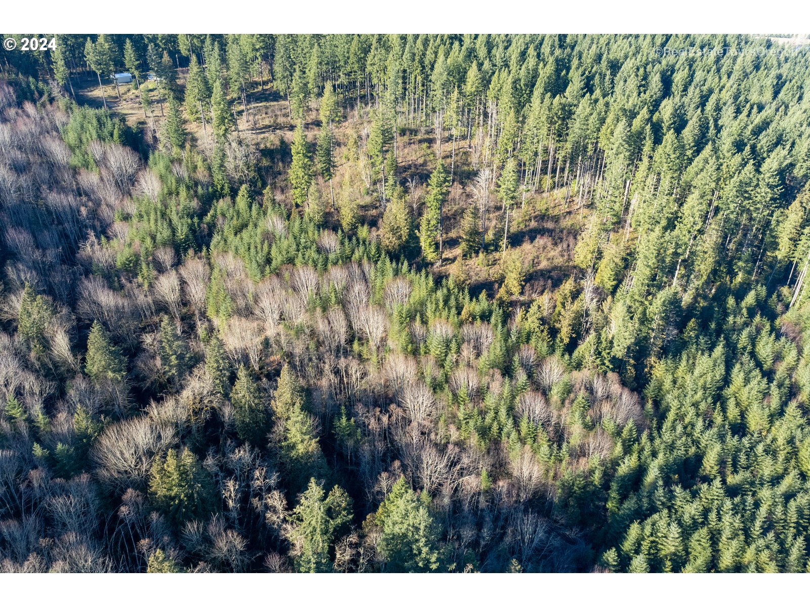 0 South Fellows Road Beavercreek, OR 97004 - Photo 23 of 26 Gallery Image 23