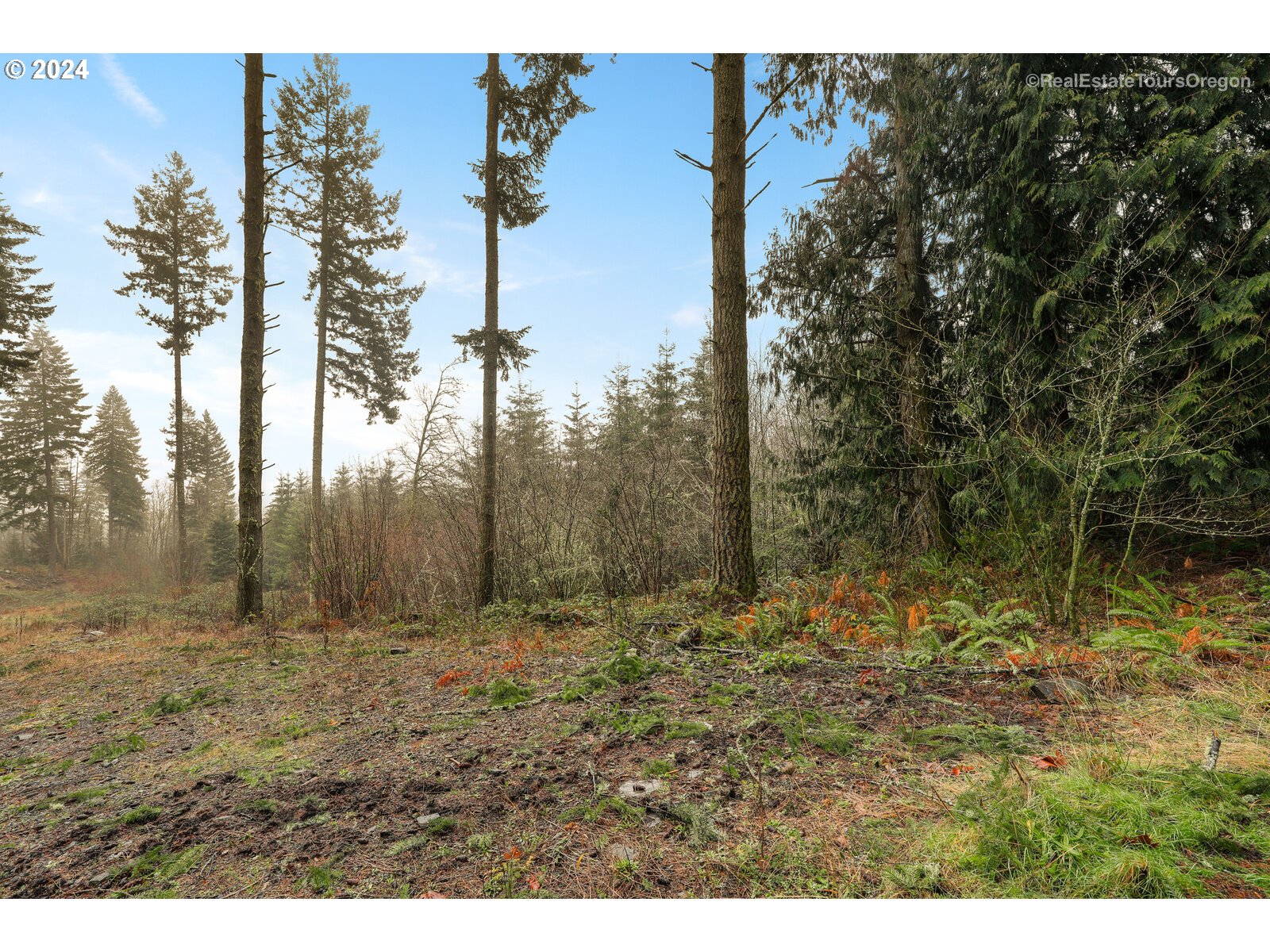0 South Fellows Road Beavercreek, OR 97004 - Photo 3 of 26 Gallery Image 3