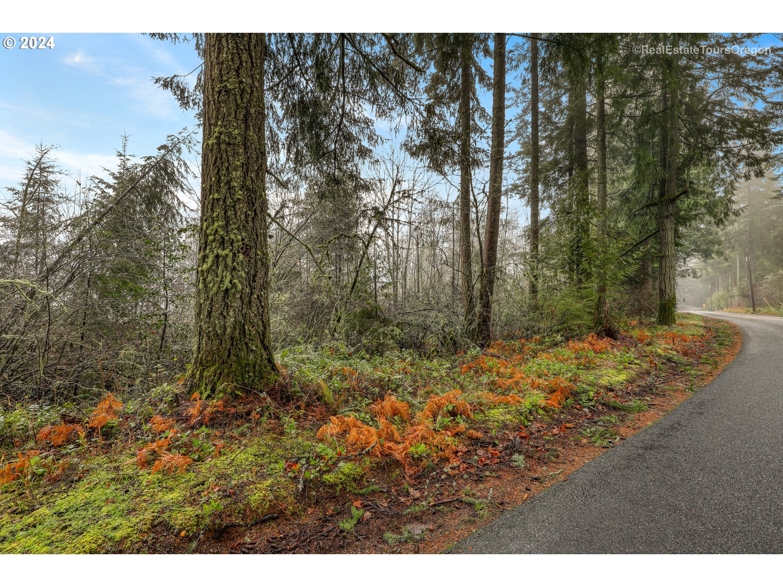 0 South Fellows Road Beavercreek, OR 97004 - Photo 4 of 26 Gallery Image 4