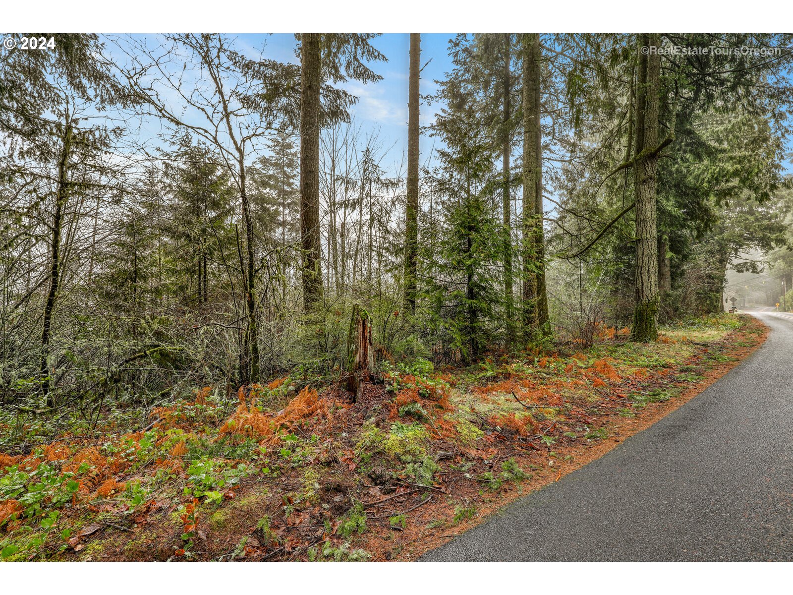 0 South Fellows Road Beavercreek, OR 97004 - Photo 5 of 26 Gallery Image 5
