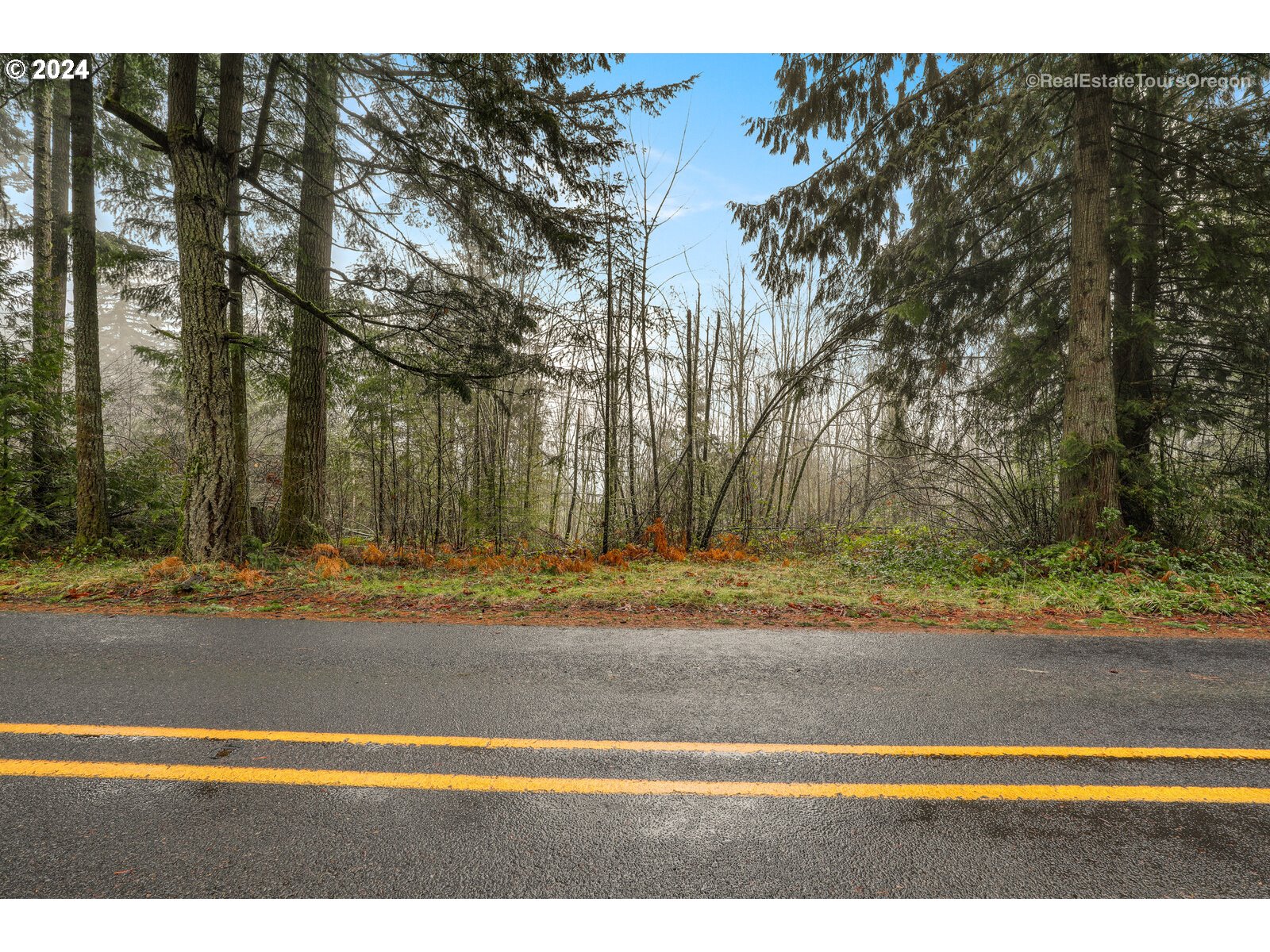 0 South Fellows Road Beavercreek, OR 97004 - Photo 8 of 26 Gallery Image 8