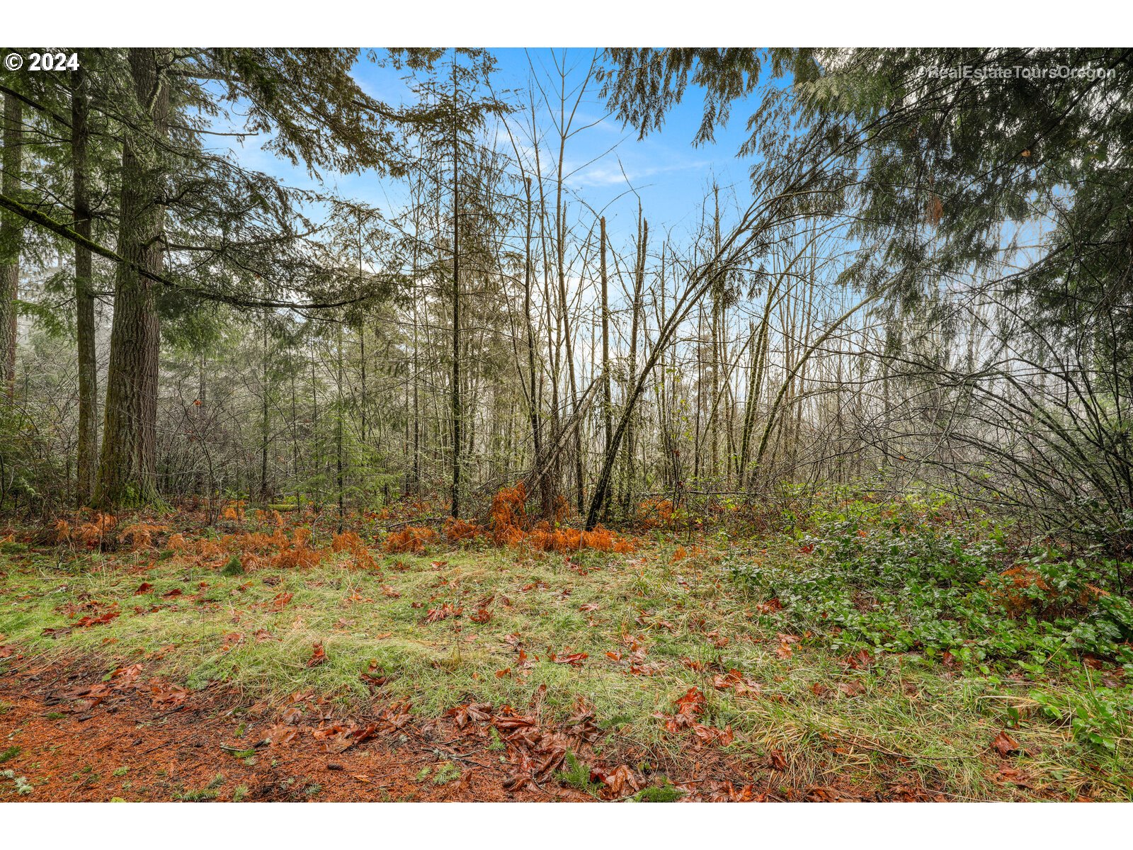0 South Fellows Road Beavercreek, OR 97004 - Photo 10 of 26 Gallery Image 10