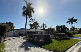 a view of a backyard with plants and a patio