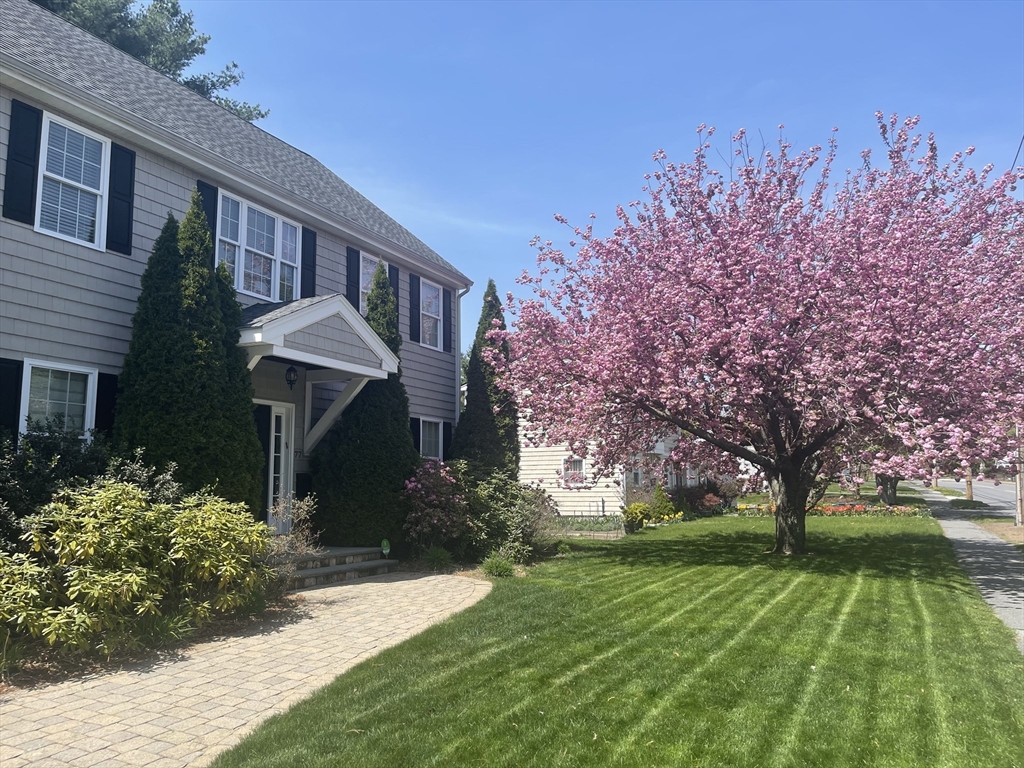 77 Cedar Street Wellesley, MA 02481 - Photo 2 of 39