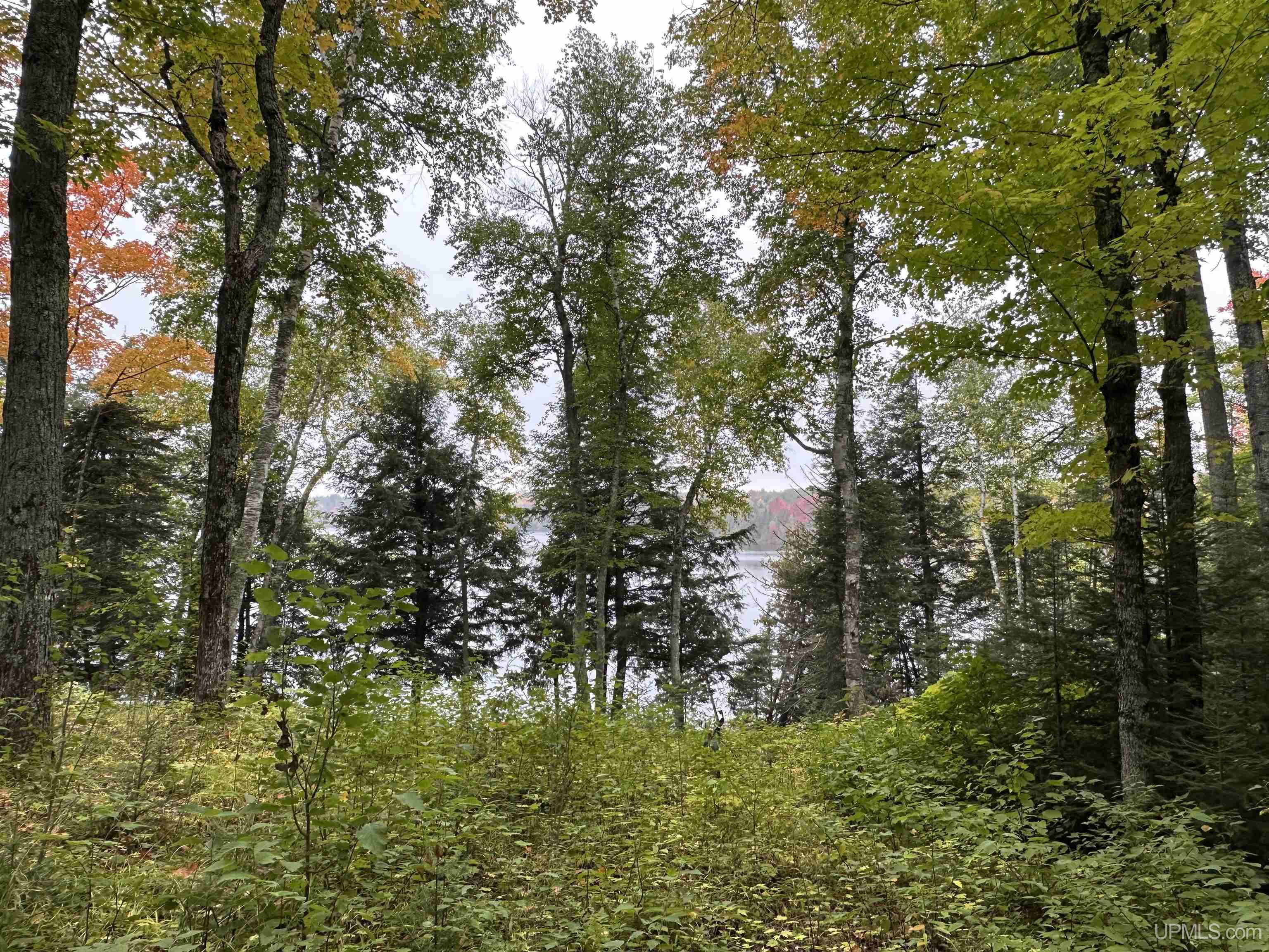 On East On E Hawk Lake Road Marenisco, MI 49947 - Photo 24 of 32