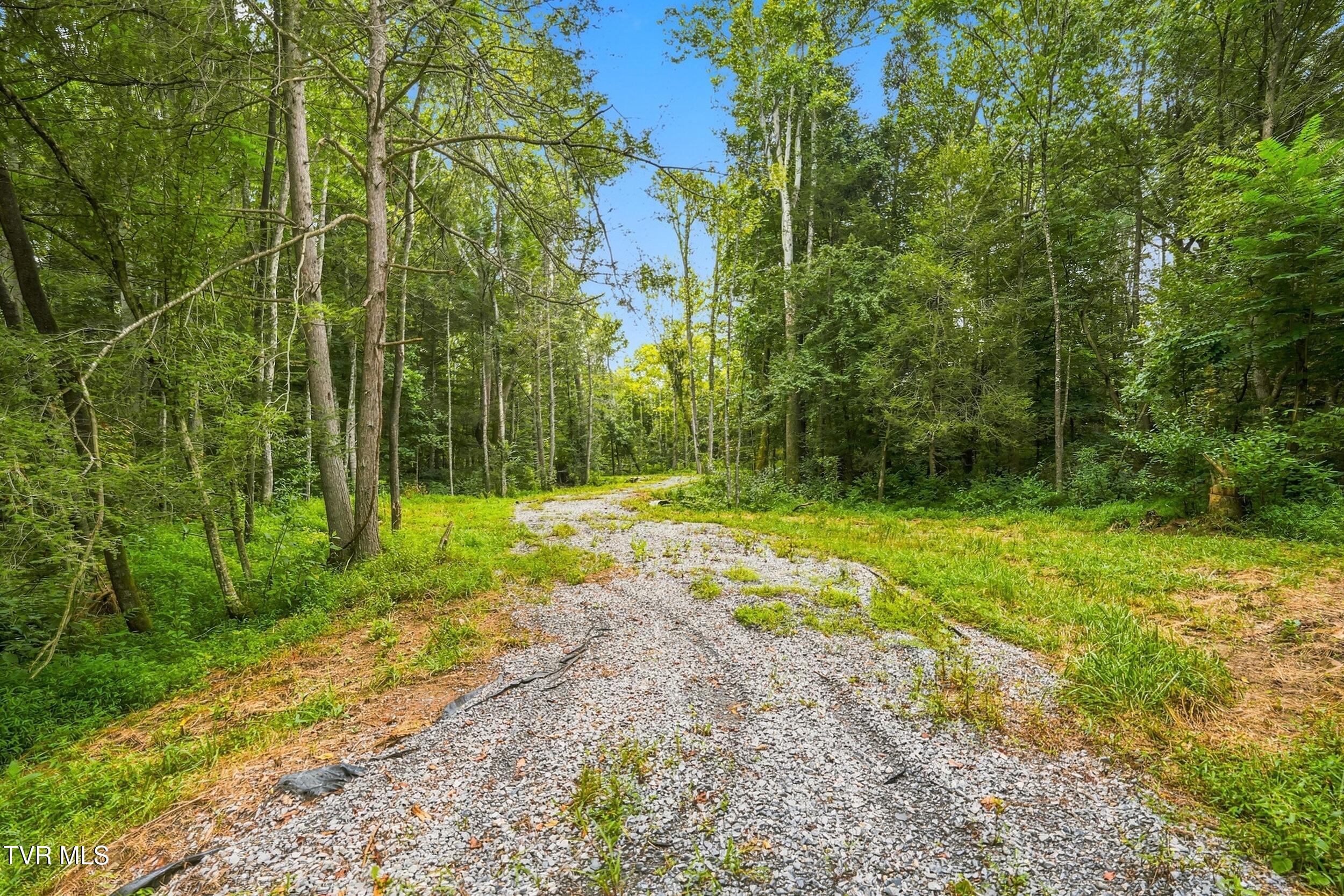 Tbd Tbd Mcinturff Springs Road Erwin, TN 37650 - Photo 12 of 22 8_dsc07913