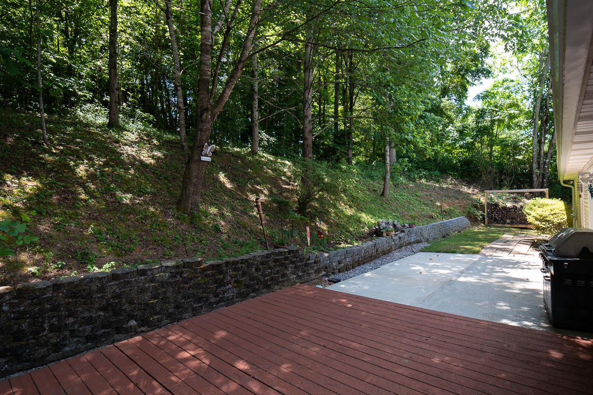 116 Den Lane Heiskell, TN 37754 - Photo 6 of 19 JBP_Den116_Web-1