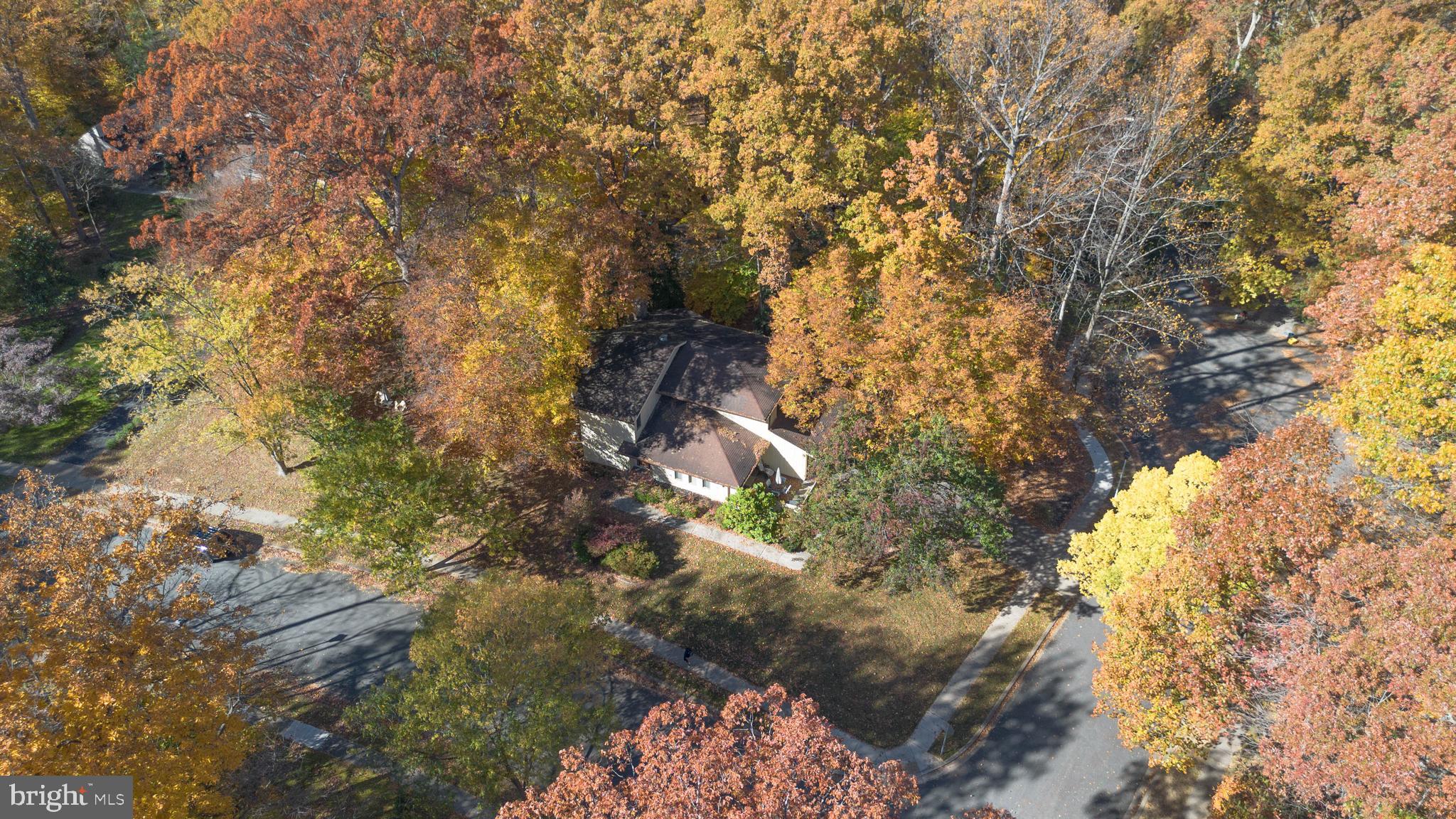 1737 Point Drive, Unit POINT Annapolis, MD 21401 - Photo 21 of 22 a picture of tree