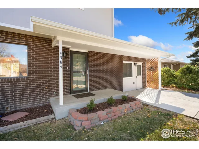 a view of a backyard with plants and large tree