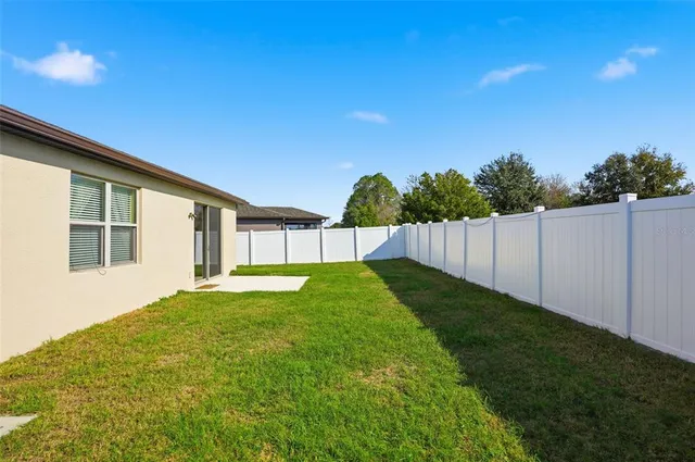 a view of a backyard with plants and large trees