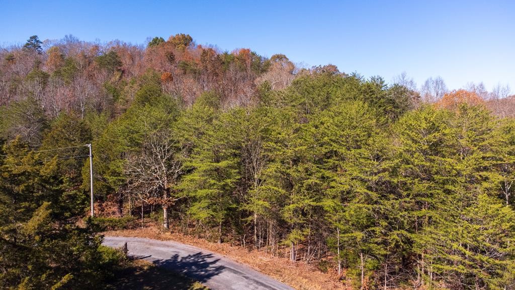 463 Co Road Englewood, TN 37329 - Photo 1 of 28