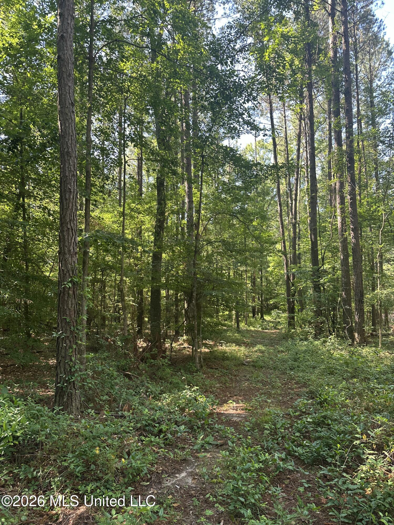 J C Prestage Road Pelahatchie, MS 39145 - Photo 18 of 24 91D87589-7D64-4007-9FE3-F24B04D8678F