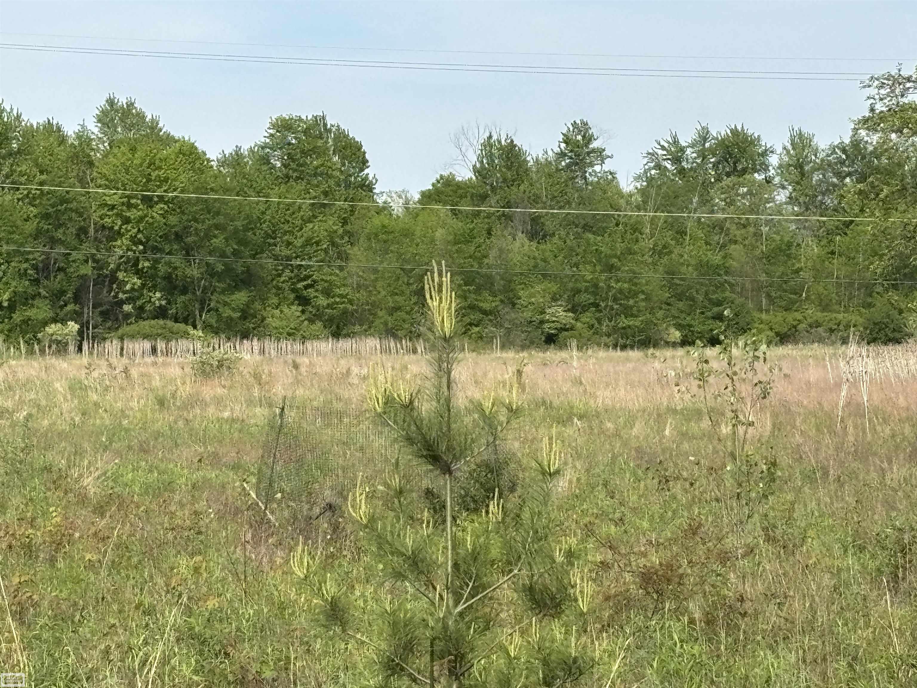 Richman Road Smiths Creek, MI 48074 - Photo 3 of 7