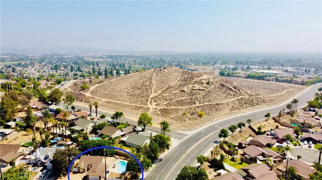 a picture of flowers and flowers