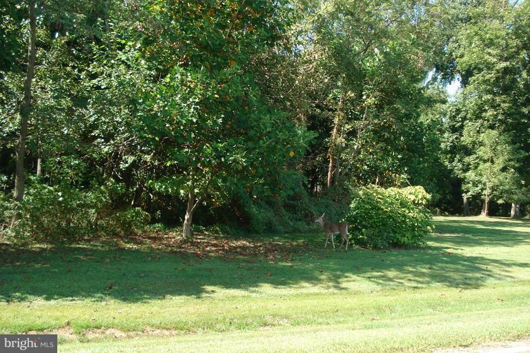 3024 Bennett Point Road Queenstown, MD 21658 - Photo 1 of 4 View