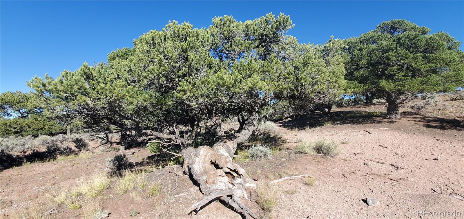 Lot 3475 Mitchell Road Fort Garland, CO 81133 - Photo 11 of 15 Gallery Image 11