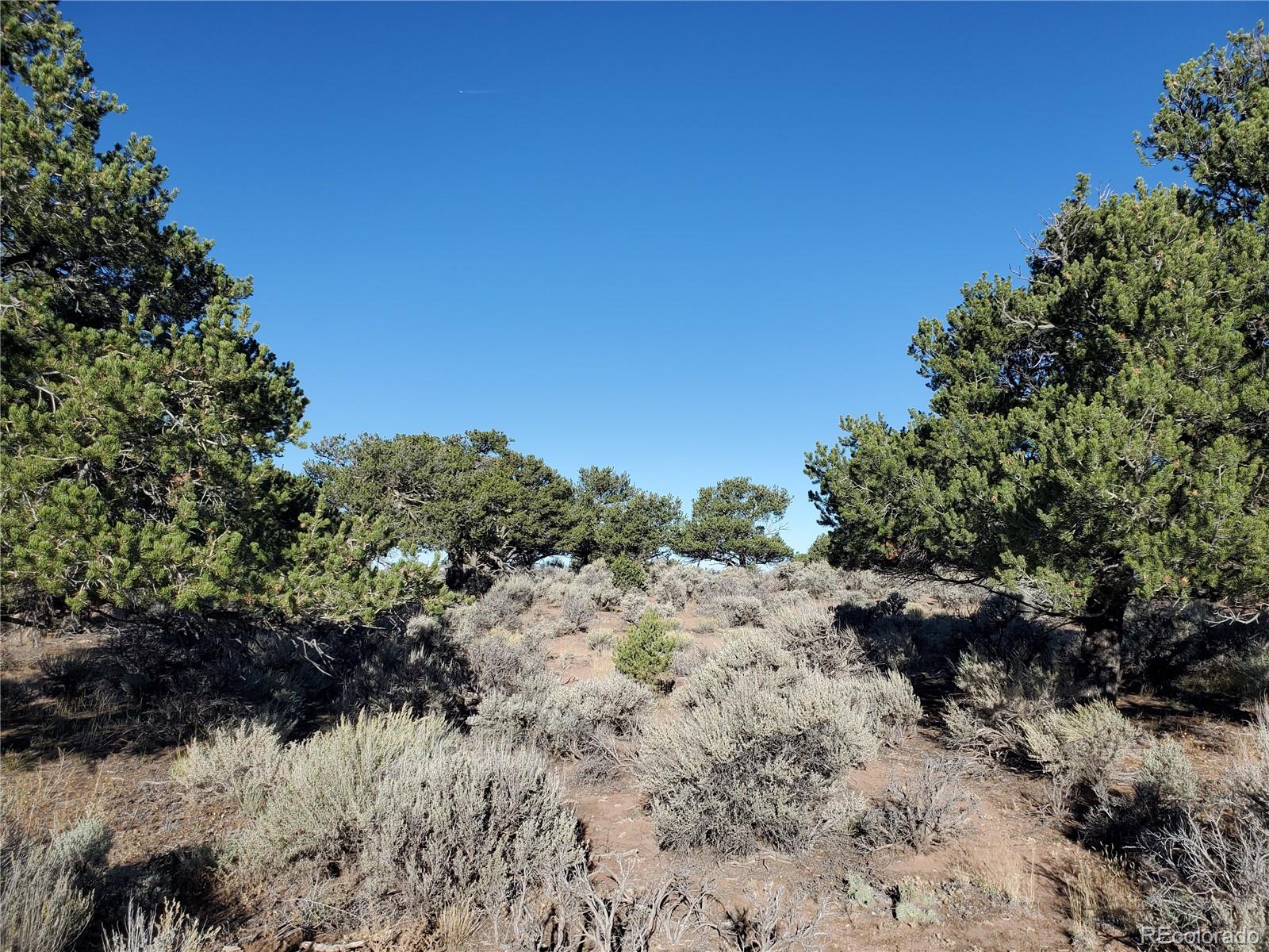 Lot 3475 Mitchell Road Fort Garland, CO 81133 - Photo 4 of 15 Gallery Image 4
