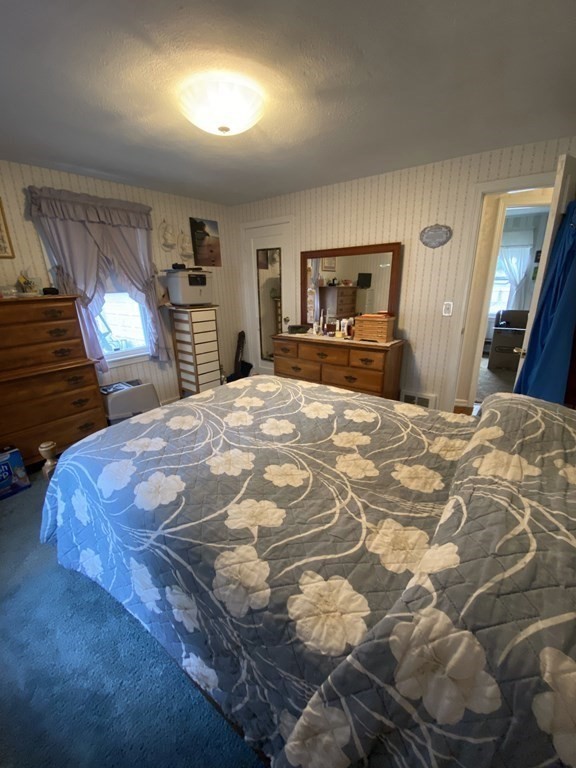 117 Leitch Street Springfield, MA 01109 - Photo 10 of 33 Gallery Image 10
