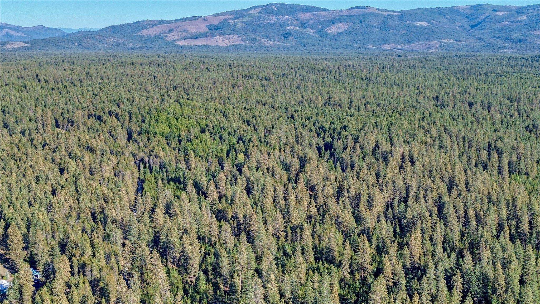 Nkn Bear Tooth Road Newport, WA 99156 - Photo 15 of 31