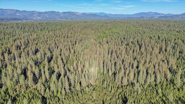 $175,000 | Nkn Bear Tooth Road, Newport, WA 99156