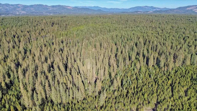 $175,000 | Nkn Bear Tooth Road, Newport, WA 99156